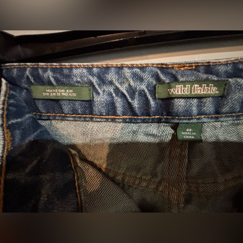 Wild Fable Men's Blue Jeans
